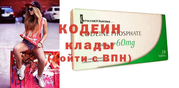 ешки Алексин