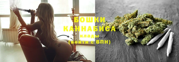 ешки Алексин