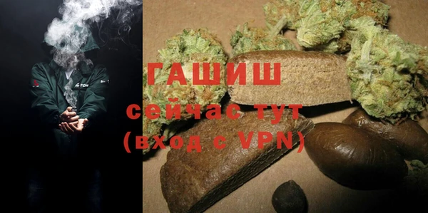 гашик Алексеевка