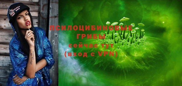 ешки Алексин