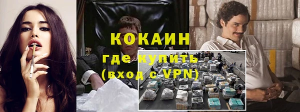ешки Алексин