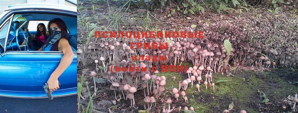 MDMA Абдулино